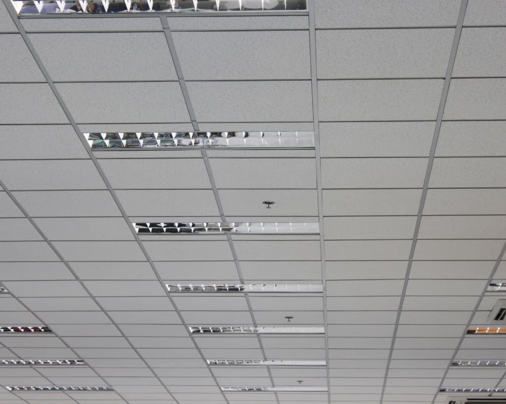 Office ceiling with fluorescent lights