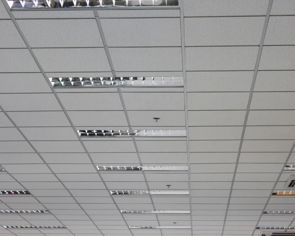 Office ceiling with fluorescent lights and panels.