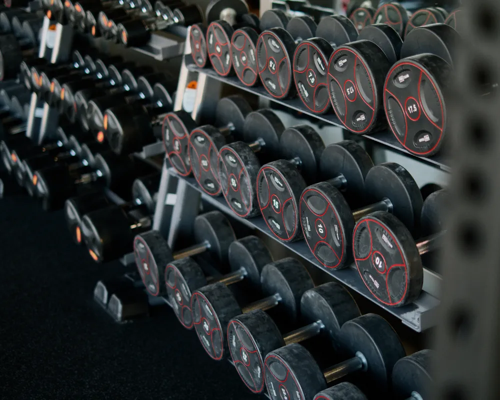 Rows of dumbbells on gym rack.